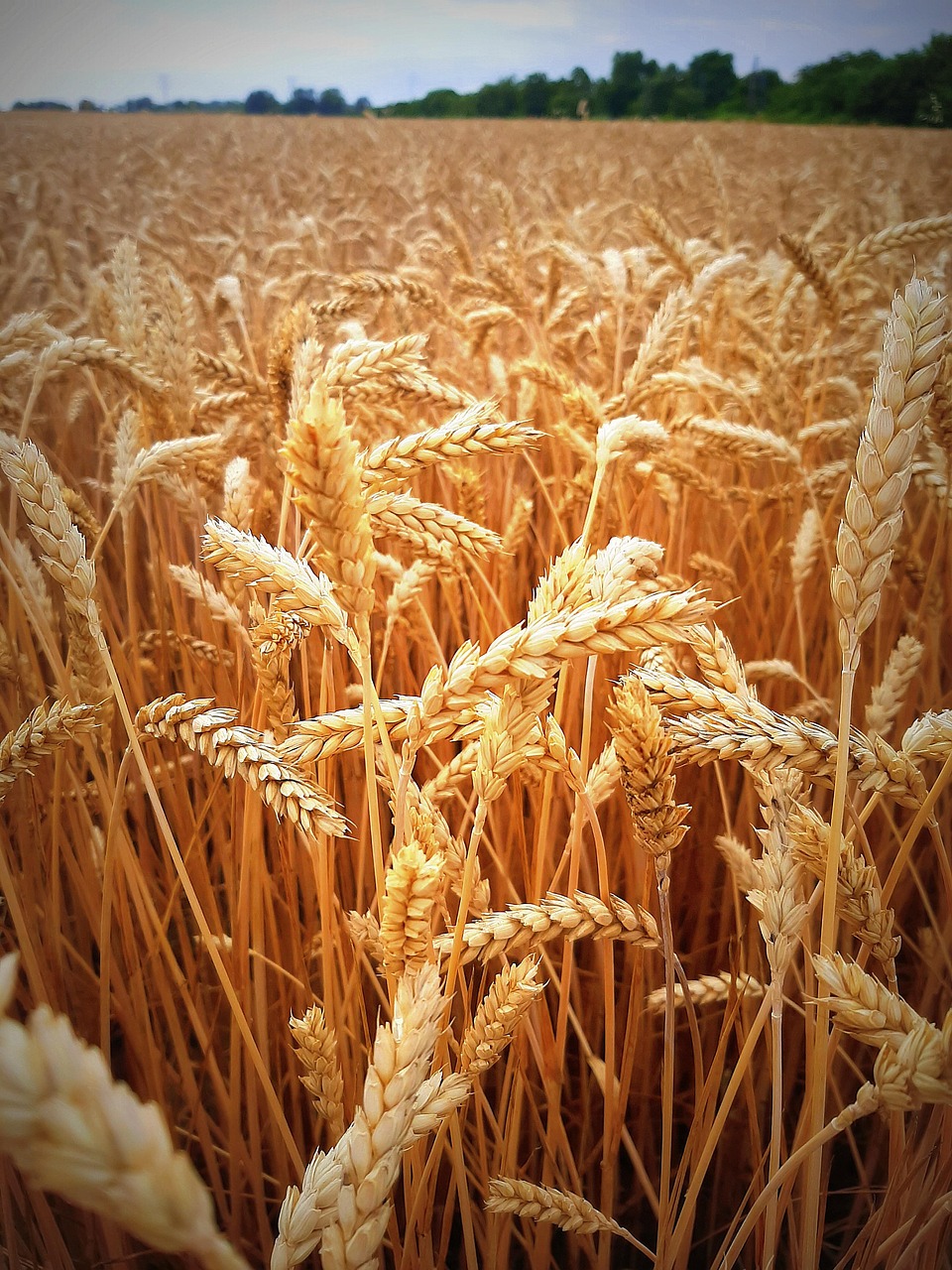 Nyári miserend
